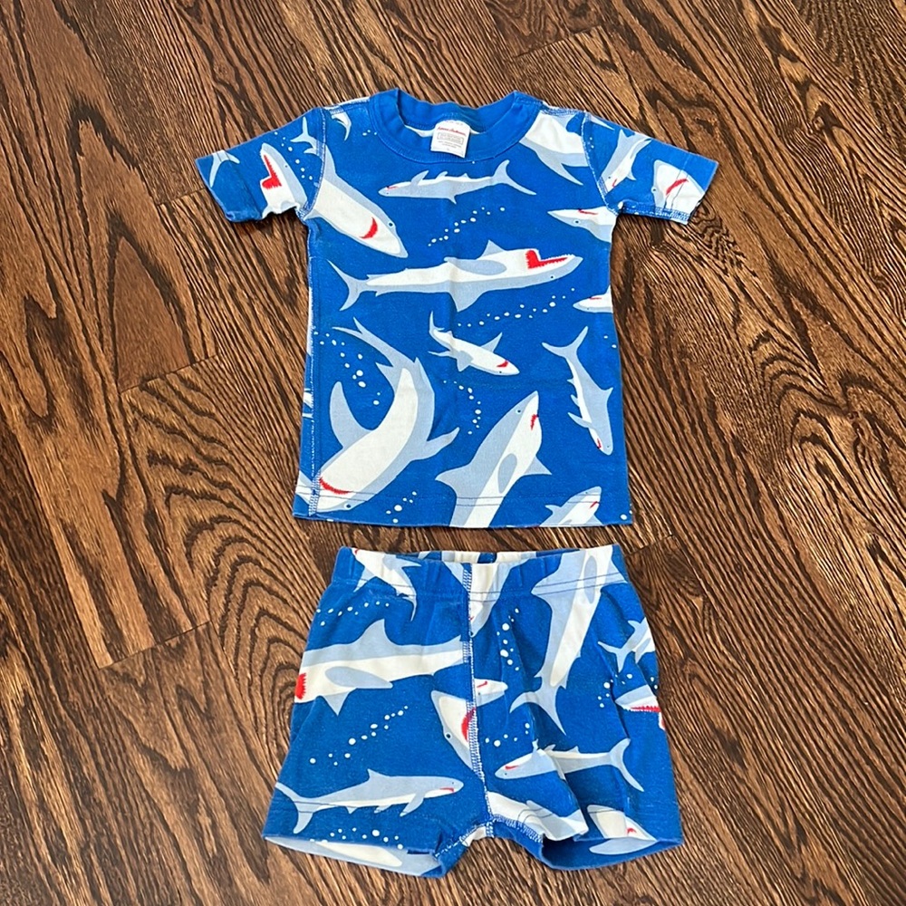 Hanna Andersson 2-piece pajamas